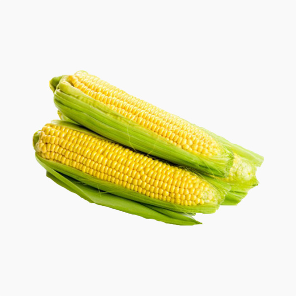 roasted corn