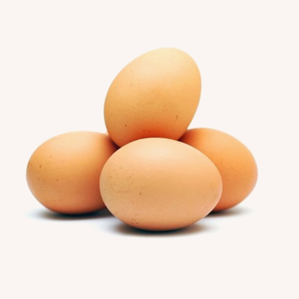 quisque volutpat mattis