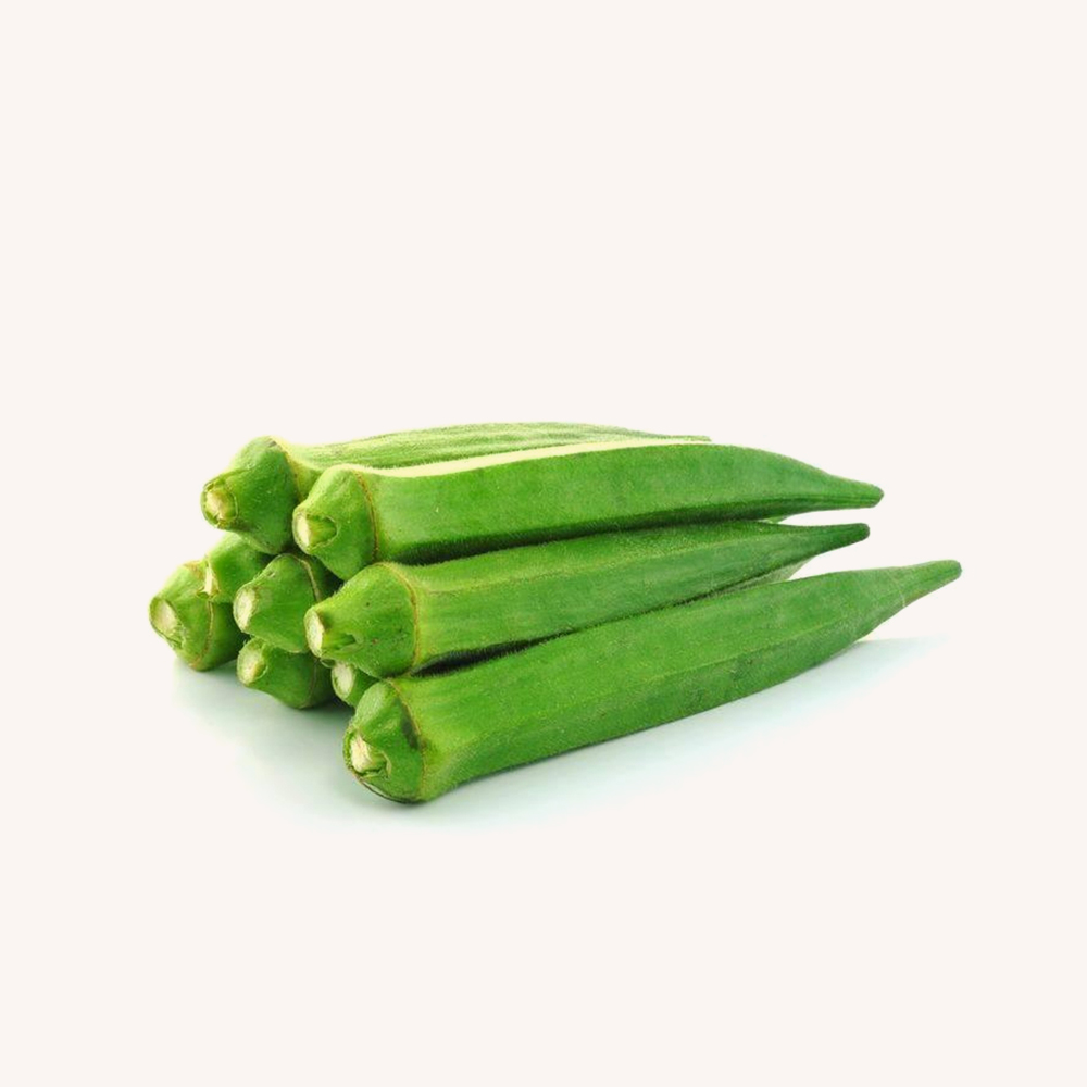 Sectetuer adispicing