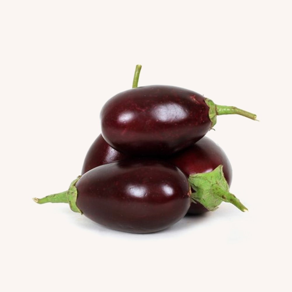 Sectetuer adispicing