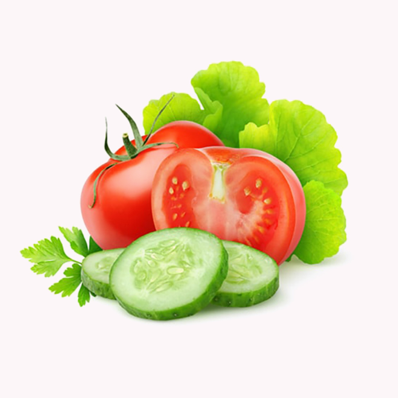 suscipit lobortis nisl