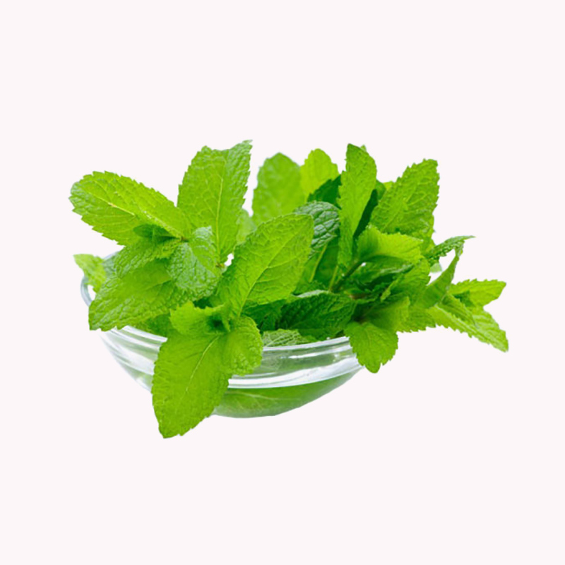 ullamcorper suscipit