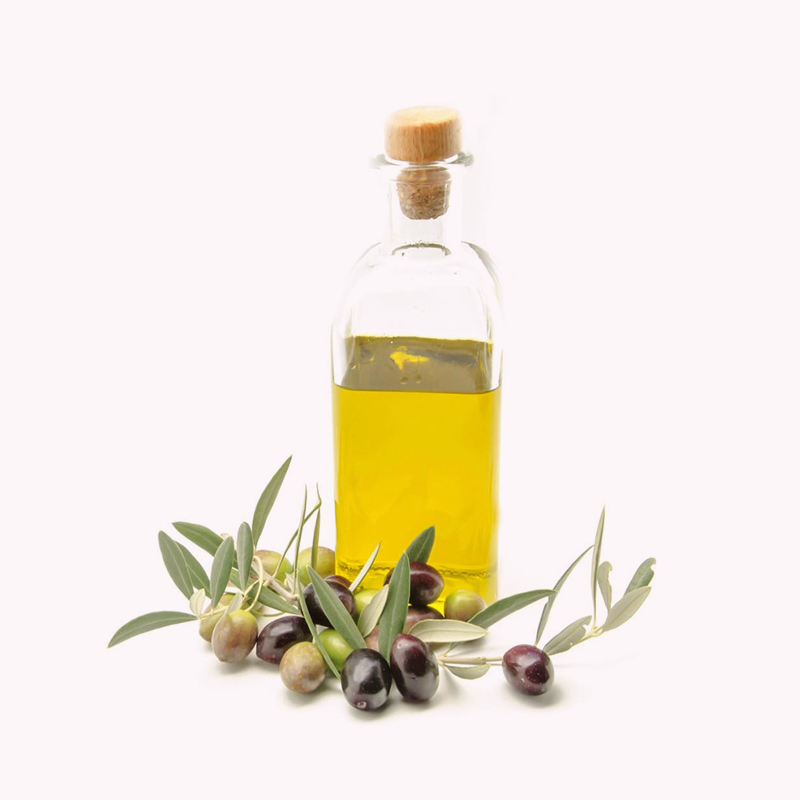 hendrerit in vulputate