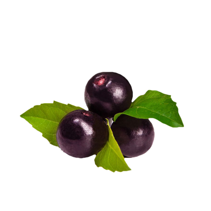 berry smoothie concor