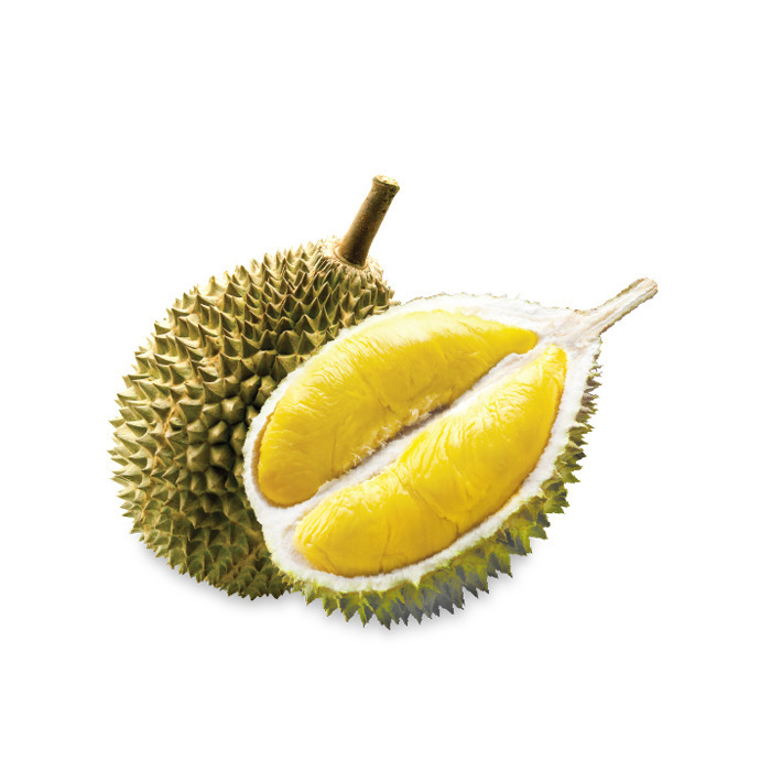 durio zibethinus tropical