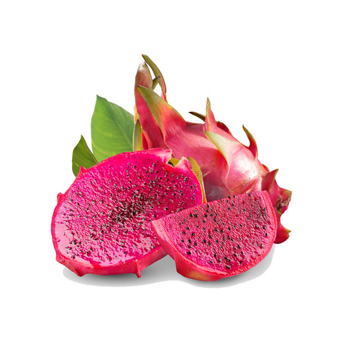 hylocereus undatus pitaya